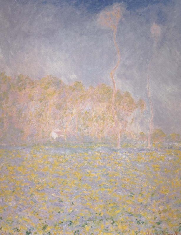 Claude Monet Springtime Landscape France oil painting art